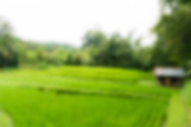 Bali Endonezya Seyahat tema bulanıklık arka plan