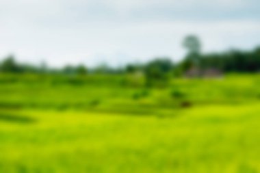 Bali Endonezya Seyahat tema bulanıklık arka plan