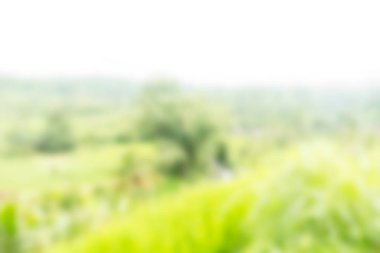 Bali Endonezya Seyahat tema bulanıklık arka plan