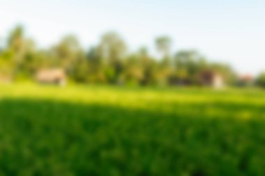 Bali Endonezya Seyahat tema bulanıklık arka plan