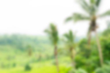 Bali Endonezya Seyahat tema bulanıklık arka plan