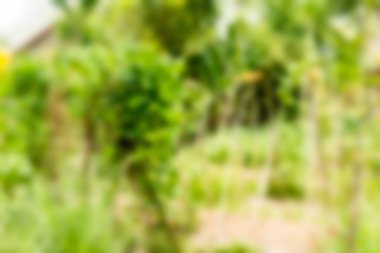 Bali Endonezya Seyahat tema bulanıklık arka plan