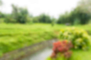 Bali Endonezya Seyahat tema bulanıklık arka plan