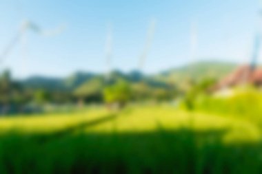 Bali Endonezya Seyahat tema bulanıklık arka plan