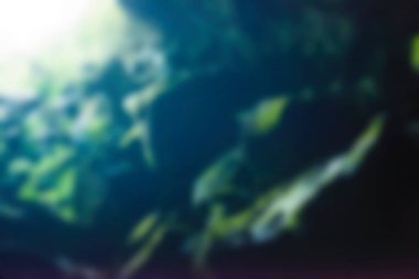 Bali Endonezya Seyahat tema bulanıklık arka plan