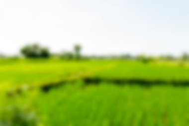 Bali Endonezya Seyahat tema bulanıklık arka plan