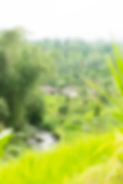 Bali indonesien reisethema verschwimmen hintergrund — Stockfoto