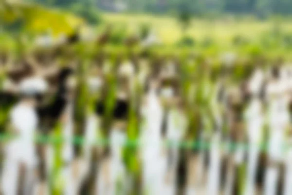 Bali Indonesia Viajes tema desenfoque fondo — Foto de Stock