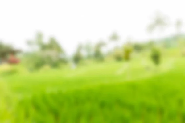 Bali Indonesia Travel theme blur background — Stock Photo, Image