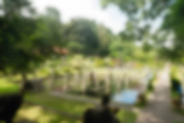 Bali Indonesia Travel theme blur background — Stock Photo, Image