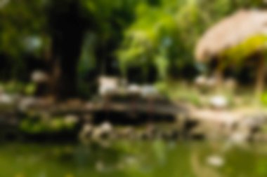 Kuş Parkı Bali Endonezya Seyahat Tema arka plan bulanıklık