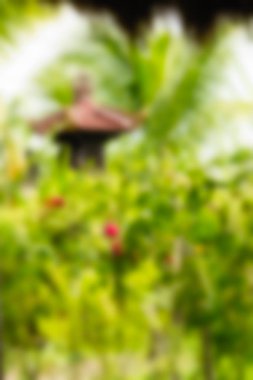 Bali Endonezya Seyahat tema bulanıklık arka plan