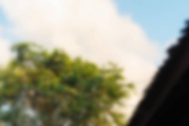 Bali Endonezya Seyahat tema bulanıklık arka plan