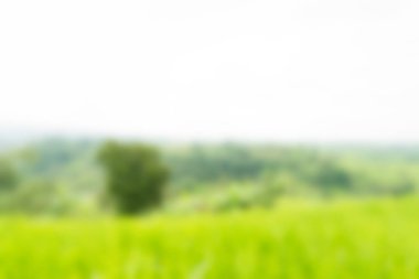 Bali Endonezya Seyahat tema bulanıklık arka plan