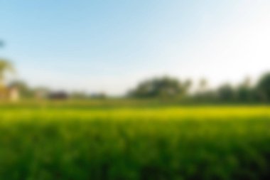 Bali Endonezya Seyahat tema bulanıklık arka plan