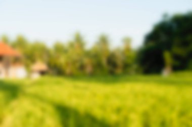 Bali Endonezya Seyahat tema bulanıklık arka plan