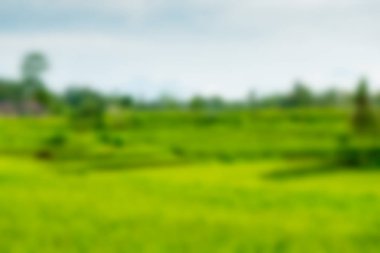 Bali Endonezya Seyahat tema bulanıklık arka plan