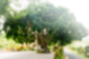 Bali Endonezya Seyahat tema bulanıklık arka plan