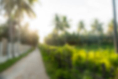 Gili Adaları Endonezya Seyahat Tema arka plan bulanıklık