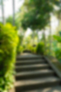 Bali Endonezya Seyahat tema bulanıklık arka plan