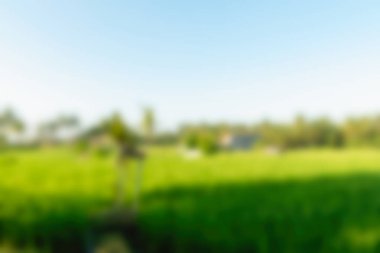 Bali Endonezya Seyahat tema bulanıklık arka plan