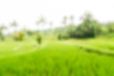 Bali Endonezya Seyahat tema bulanıklık arka plan