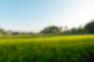 Bali Endonezya Seyahat tema bulanıklık arka plan