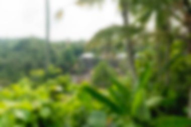 Bali Endonezya Seyahat tema bulanıklık arka plan