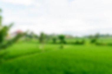 Bali Endonezya Seyahat tema bulanıklık arka plan