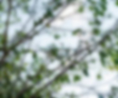 Bali Endonezya Seyahat tema bulanıklık arka plan