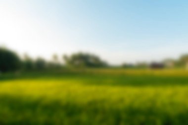 Bali Endonezya Seyahat tema bulanıklık arka plan