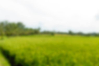 Bali Endonezya Seyahat tema bulanıklık arka plan