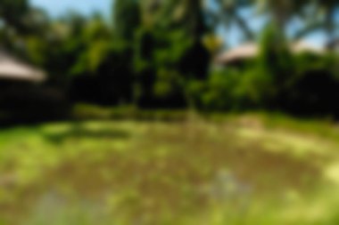 Bali Endonezya Seyahat tema bulanıklık arka plan