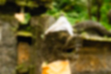 Bali Endonezya Seyahat tema bulanıklık arka plan