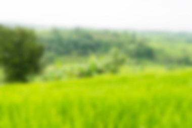 Bali Endonezya Seyahat tema bulanıklık arka plan