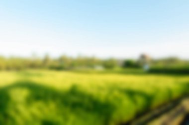 Bali Endonezya Seyahat tema bulanıklık arka plan