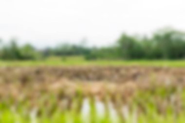 Bali Endonezya Seyahat tema bulanıklık arka plan