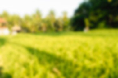 Bali Endonezya Seyahat tema bulanıklık arka plan