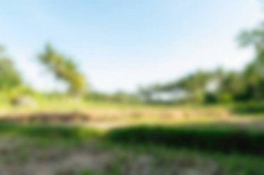 Bali Endonezya Seyahat tema bulanıklık arka plan