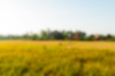 Bali Endonezya Seyahat tema bulanıklık arka plan