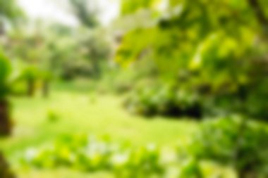 Bali Endonezya Seyahat tema bulanıklık arka plan