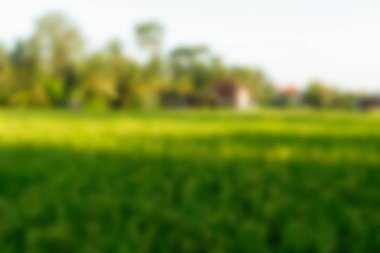 Bali Endonezya Seyahat tema bulanıklık arka plan