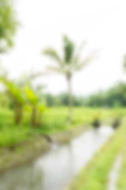 Bali Endonezya Seyahat tema bulanıklık arka plan