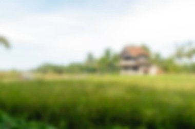 Bali Endonezya Seyahat tema bulanıklık arka plan