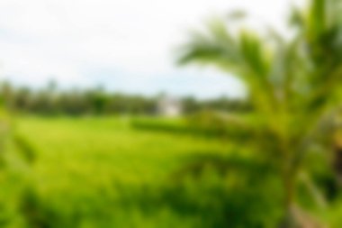 Bali Endonezya Seyahat tema bulanıklık arka plan