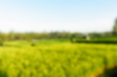 Bali Endonezya Seyahat tema bulanıklık arka plan