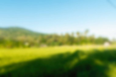 Bali Endonezya Seyahat tema bulanıklık arka plan