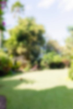 Bali Endonezya Seyahat tema bulanıklık arka plan