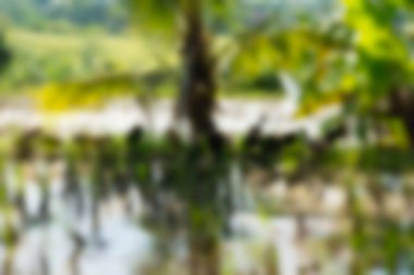 Bali Endonezya Seyahat tema bulanıklık arka plan