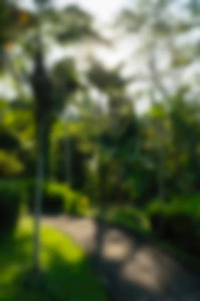 Bali Indonesia Travel theme blur background — Stock Photo, Image